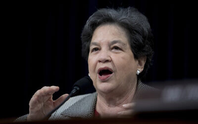 Rep. Lois Frankel, a Democrat of Florida, speaks as US Secretary of State Mike Pompeo appears before a House Appropriations subcommittee hearing on budget on Capitol Hill, March 27, 2019, in Washington. (AP Photo/Andrew Harnik)