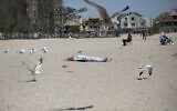 A woman sleeps on Brighton Beach in the Brooklyn borough of New York as seagulls flutter around her, on Saturday, April 25, 2020. (AP/Wong Maye-E)
