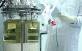 The bioreactor where Pluristem produces cells for its treatment (David Garb)