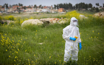 A Magen David Adom worker wears protective gear in a field of mustard while collecting test swabs in the northern Israeli city of Safed on March 31, 2020. (David Cohen/Flash90)