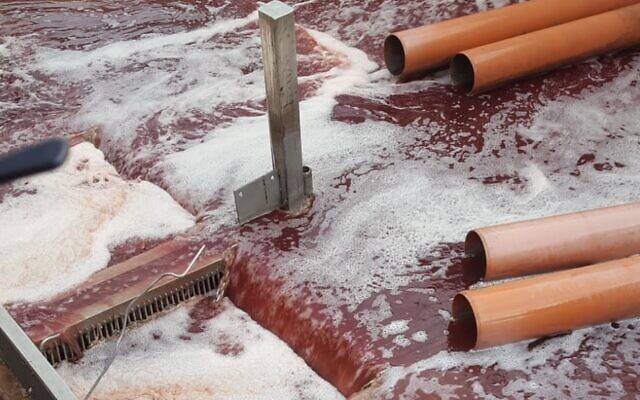 Wastewater at the Yad Hanna Wastewater Treatment Plant bloodied by the detritus from slaughterhouses in the Palestinian Authority-controlled West Bank city of Tulkarem, April 14, 2020. (Courtesy, Alon Heyman)