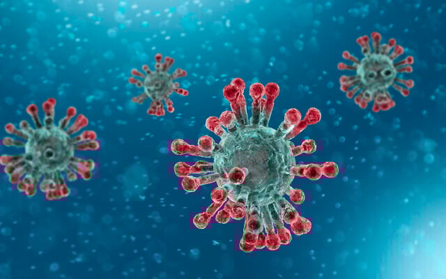 A microscopic 3D rendering of coronavirus, a pathogen that attacks the respiratory tract. (Naeblys/iStockPhoto) A microscopic 3D rendering of coronavirus, a pathogen that attacks the respiratory tract. (Naeblys/iStockPhoto)
