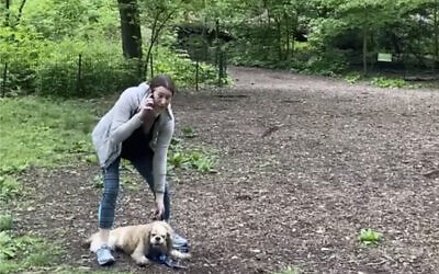 This image made from Monday, May 25, 2020, video provided by Christian Cooper shows Amy Cooper with her dog calling police at Central Park in New York. A video of a verbal dispute between Amy Cooper, walking her dog off a leash and Christian Cooper, a black man bird watching in Central Park, is sparking accusations of racism. (Christian Cooper via AP)