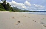 Footprints in the sand, taken on a beach on Mahe island, Seychelles, March 1, 2019. (AP Photo/David Keyton)