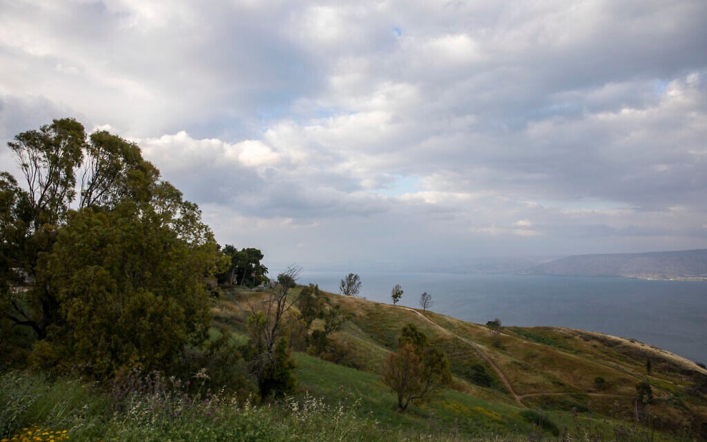 In this April 25, 2020 photo, wildflowers bloom at an empty national park overlooking the Sea of Galilee, locally known as Lake Kinneret (AP Photo/Ariel Schalit)