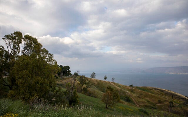 In this April 25, 2020 photo, wildflowers bloom at an empty national park overlooking the Sea of Galilee, locally known as Lake Kinneret (AP Photo/Ariel Schalit) In this April 25, 2020 photo, wildflowers bloom at an empty national park overlooking the Sea of Galilee, locally known as Lake Kinneret (AP Photo/Ariel Schalit)