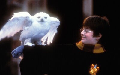 Daniel Radcliffe in the film adaptation of "Harry Potter and the Sorcerer's Stone." (Peter Mountain/WireImage, via JTA)