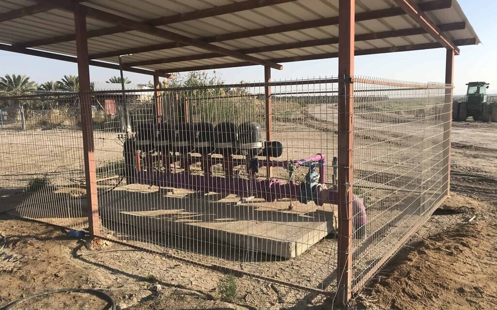 The purple pipes bringing desalinated water to the agricultural enclaves located on the land designated as nature reserves. (Amir Ben-David/ Zman Yisrael)