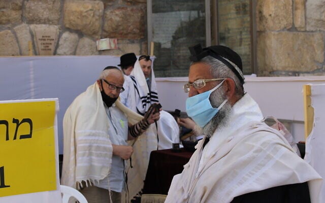 Ultra-Orthodox men wearing masks pray at the Western Wall on May 21, 2020. (Sam Sokol) Ultra-Orthodox men wearing masks pray at the Western Wall on May 21, 2020. (Sam Sokol)