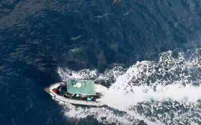 Still from a video showing dolphins in the Mediterranean Sea, April 2020. (Guy Lavian, Eviatar Ben Avi, Israel Nature and Parks Authority).