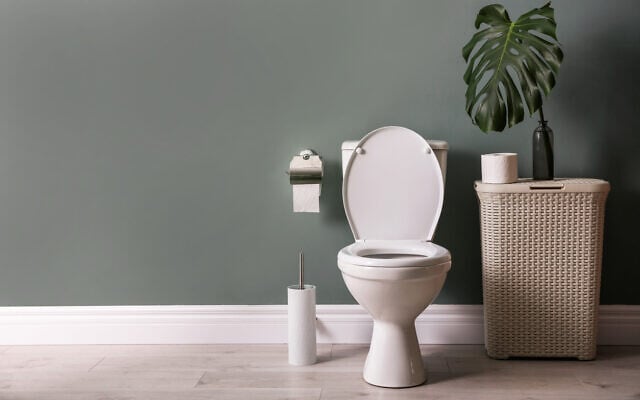 Illustrative: A toilet bowl in a bathroom (belchonock; iStock via Getty Images) Illustrative: A toilet bowl in a bathroom (belchonock; iStock via Getty Images)