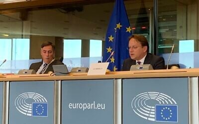 Olivér Várhelyi, the Commissioner for Neighbourhood and Enlargement, during a meeting of the European Parliament’s Foreign Affairs Committee, May 2020 (Twitter)