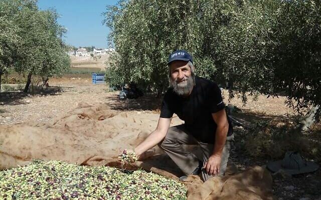 David Kishik-Cohen at his olive grove outside the Kochav Hashahar settlement. (via WhatsApp)