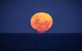 The Strawberry Moon, the full moon of the month of June, rises over the ocean on Narrawallee Beach, near Mollymook on the South Coast of New South Wales on June 6, 2020. (DAVID GRAY / AFP)