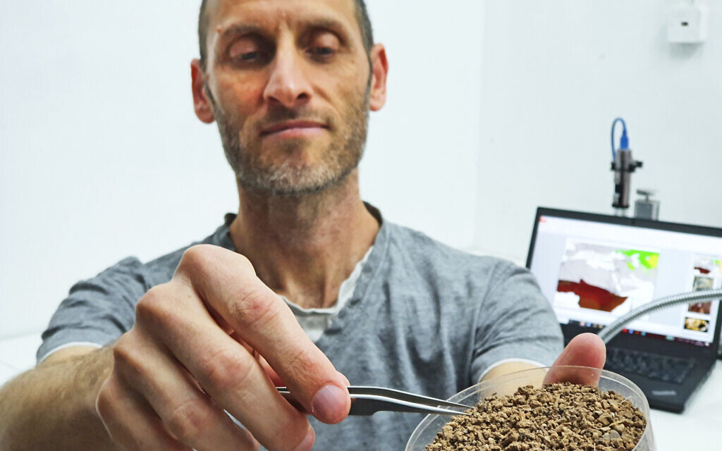 IAA archaeologist Dr. Lior Weisbrod with tiny fossils of rodents from the excavation. (Yoli Schwartz, Israel Antiquities Authority)