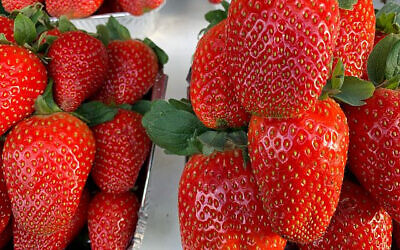 Strawberries (Sarah Tuttle-Singer)