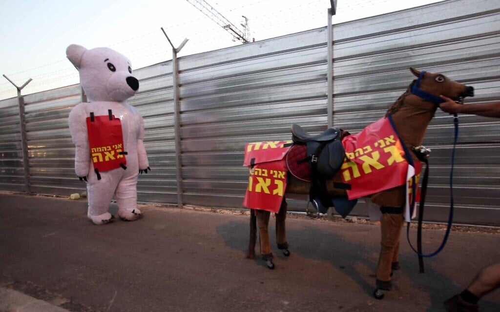 To deride the LGBTQ community, activists ready for an 'animal pride' parade, with signs reading 'I'm a proud animal.' (Yossi Zamir/ Flash90)