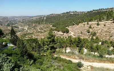 Reches Lavan, or White Ridge, west of Jerusalem. (Dov Greenblat, Society for the Protection of Nature in Israel)
