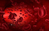 Illustrative: Red blood cells in an artery (donfiore/iStock by Getty Images)