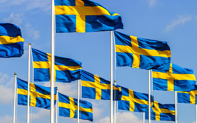 Swedish flags on the National Day (TT; iStock by Getty Images) Swedish flags on the National Day (TT; iStock by Getty Images)
