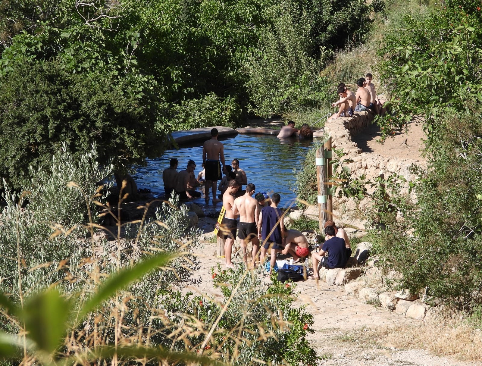 The Lavan spring southeast of Jerusalem. (Dov Greenblat, Society for the Protection of Nature in Israel) The Lavan spring southeast of Jerusalem. (Dov Greenblat, Society for the Protection of Nature in Israel)