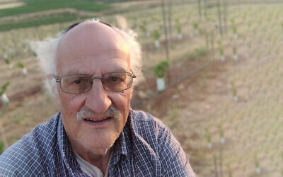 Ira Rappaport at his blueberry field, near Shiloh, on June 4, 2020 (Photo: courtesy)
