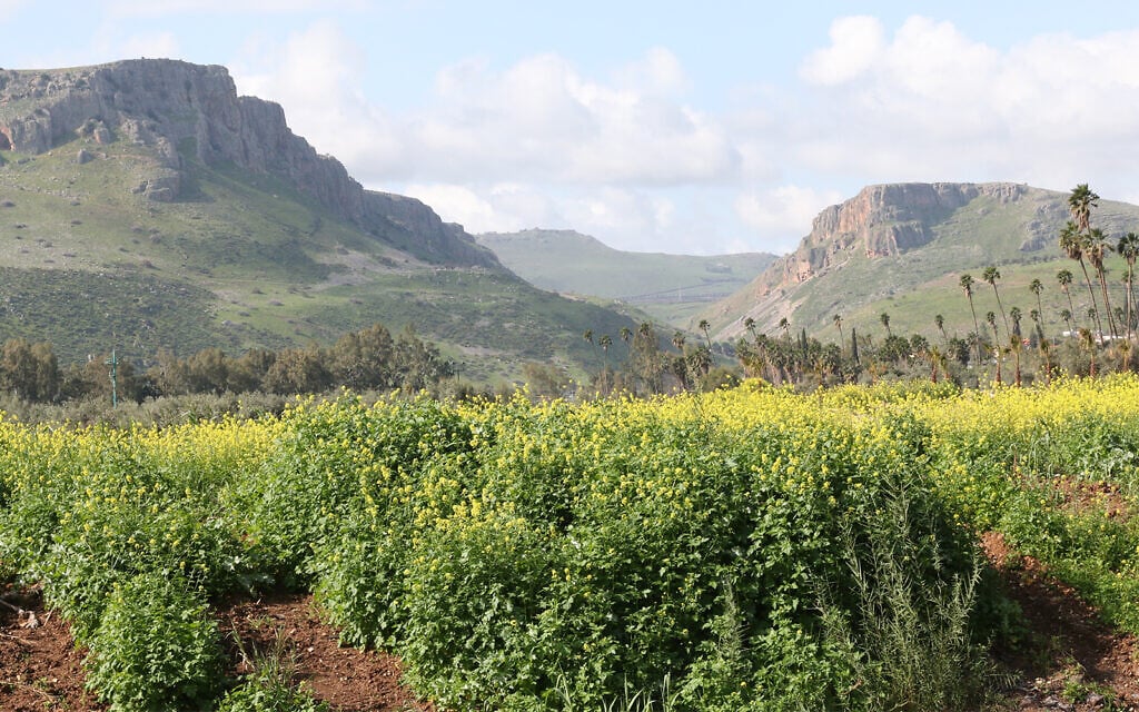 The view from the sculpture garden in Kibbutz Ginossar near the Sea of Galilee. The community has a fishing boat found in the sea dating back 2,000 years, the period in which Jesus preached at the lake, according to the New Testament. (Shmuel Bar-Am)