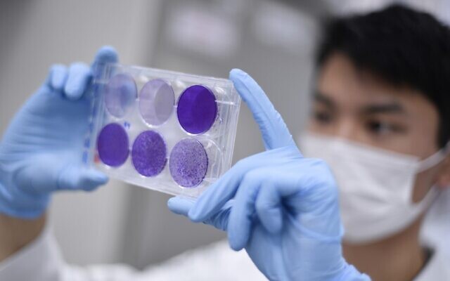A researcher works on virus replication in order to develop a vaccine against COVID-19, in Belo Horizonte, Brazil, March 26, 2020. (Douglas Magno/AFP) A researcher works on virus replication in order to develop a vaccine against COVID-19, in Belo Horizonte, Brazil, March 26, 2020. (Douglas Magno/AFP)
