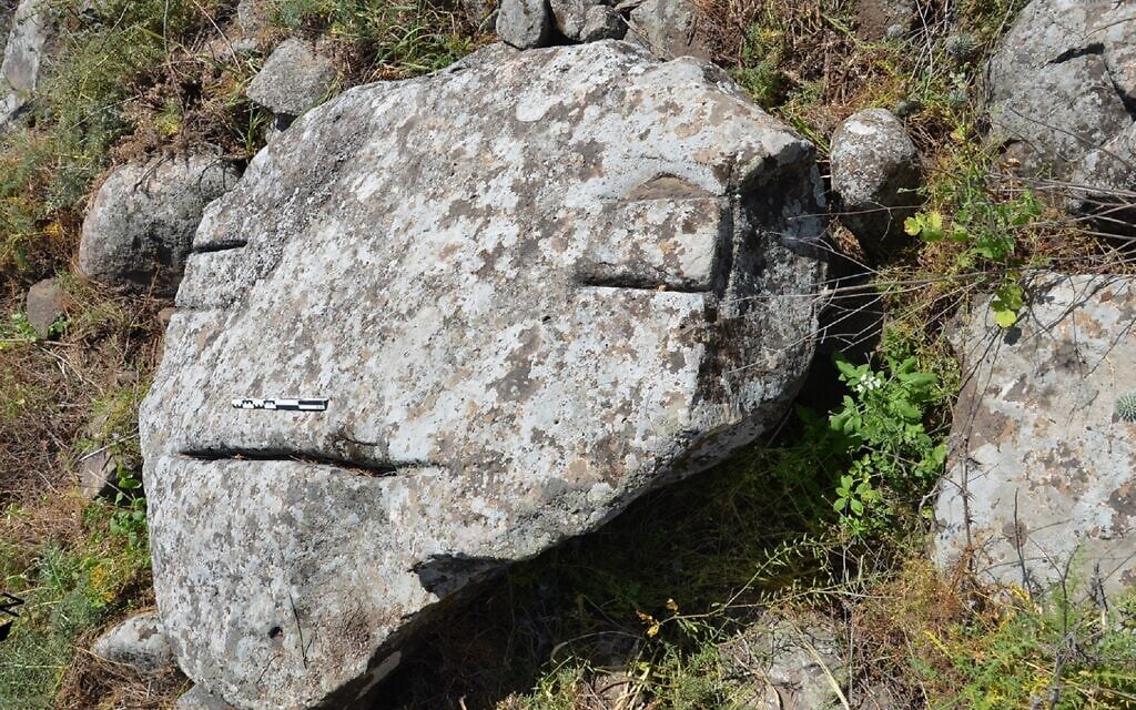 The human face-like rock covering the Kiryat Shemona dolmen. (Prof. Gonen Sharon/ Tel-Hai College)