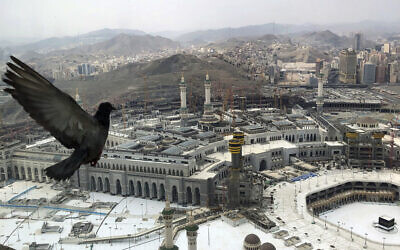 A pigeon flies over the site of the Grand Mosque that is empty due to the coronavirus prevention procedures, on the first day of the annual hajj that normally draws millions of faithful, in the Muslim holy city of Mecca, Saudi Arabia, July 29, 2020. (AP Photo)