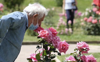 A man smells a rose in a park in Rome on May 19, 2020. (Mauro Scrobogna/LaPresse via AP)