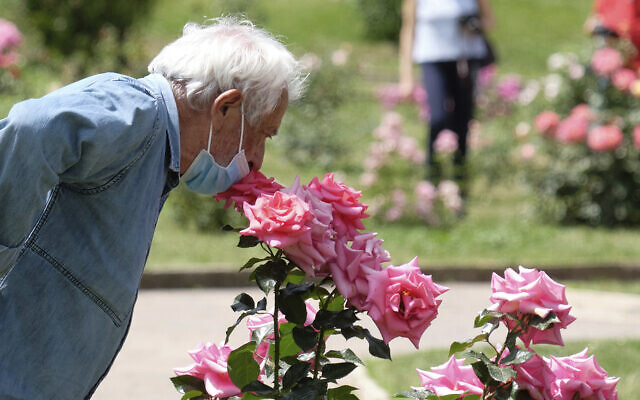 A man smells a rose in a park in Rome on May 19, 2020. (Mauro Scrobogna/LaPresse via AP) A man smells a rose in a park in Rome on May 19, 2020. (Mauro Scrobogna/LaPresse via AP)