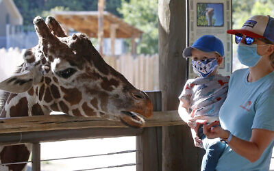 Louie Brown and her son Nico, 3, feed a giraffe as they wear their masks at Utah's Hogle Zoo Thursday, July 30, 2020, in Salt Lake City. (AP Photo/Rick Bowmer) Louie Brown and her son Nico, 3, feed a giraffe as they wear their masks at Utah's Hogle Zoo Thursday, July 30, 2020, in Salt Lake City. (AP Photo/Rick Bowmer)