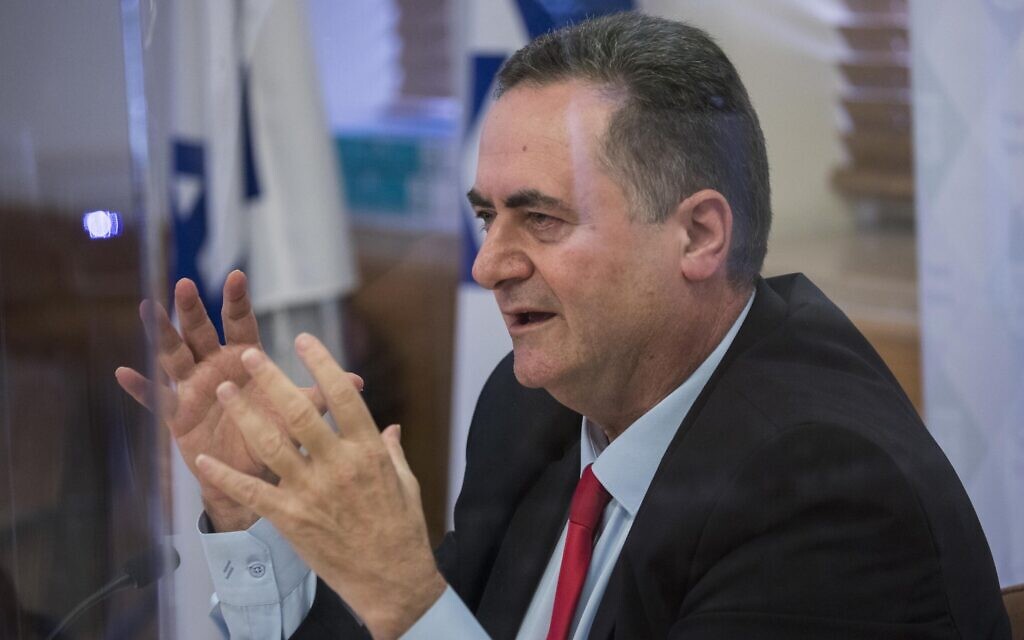 Finance Minister Israel Katz holds a press conference at the Finance Ministry in Jerusalem on July 1, 2020. (Olivier Fitoussi/Flash90) Finance Minister Israel Katz holds a press conference at the Finance Ministry in Jerusalem on July 1, 2020. (Olivier Fitoussi/Flash90)