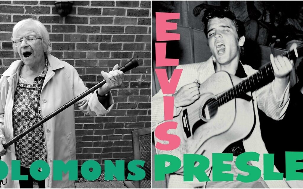 'Sheila-Elvis' (Robert Speker/Sydmar Lodge)