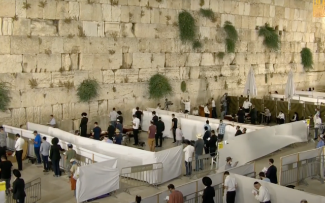 Tisha B'Av eve at the Western Wall, Jerusalem, June 29, 2020 (Screenshot) Tisha B'Av eve at the Western Wall, Jerusalem, June 29, 2020 (Screenshot)