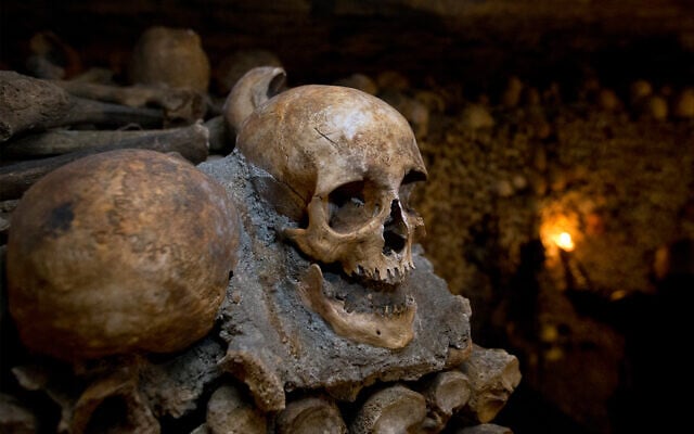 Illustrative: A skull in the catacombs of Paris, France, on October 14, 2014. (AP Photo/Francois Mori) Illustrative: A skull in the catacombs of Paris, France, on October 14, 2014. (AP Photo/Francois Mori)