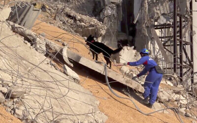 In this photo taken from footage provided by the Russian Emergency Situations Ministry press service, a Russian Emergency Situations employee works with his sniffer dog on the site of the explosion in the port of Beirut, Lebanon, August 6, 2020. (AP Photo/Ministry of Emergency Situations press service via AP) In this photo taken from footage provided by the Russian Emergency Situations Ministry press service, a Russian Emergency Situations employee works with his sniffer dog on the site of the explosion in the port of Beirut, Lebanon, August 6, 2020. (AP Photo/Ministry of Emergency Situations press service via AP)