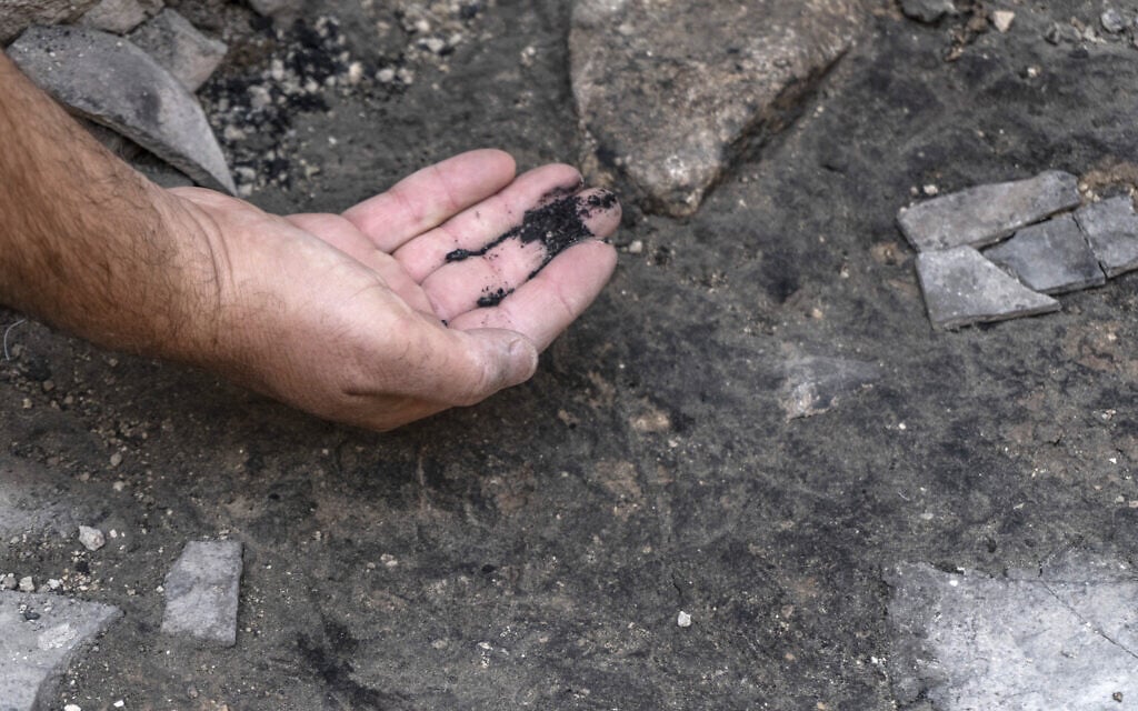 Ashes from the 586 BCE destruction of Jerusalem by the Babylonians at the excavation site in the City of David Park in Jerusalem. (Shai Halevi/Israel Antiquities Authority)