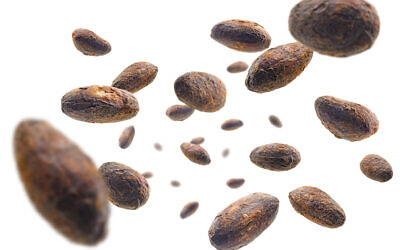 Cocoa beans. (iStock)