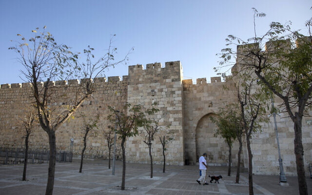 A Palestinian man walks with his dog during a three-week nationwide lockdown to curb the spread of the coronavirus in Jerusalem's Old City, September 27, 2020. (AP Photo/Ariel Schalit) A Palestinian man walks with his dog during a three-week nationwide lockdown to curb the spread of the coronavirus in Jerusalem's Old City, September 27, 2020. (AP Photo/Ariel Schalit)