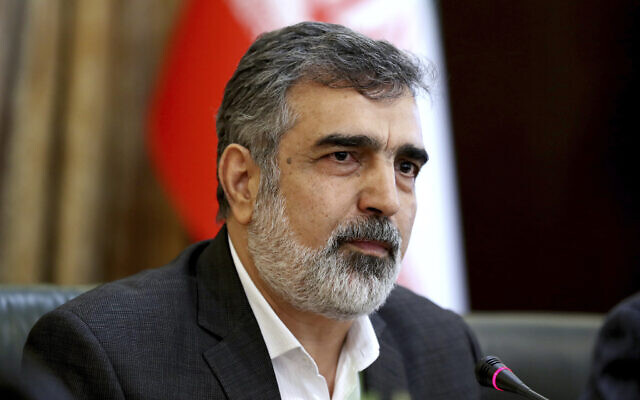 Spokesperson of the Atomic Energy Organization of Iran Behrouz Kamalvandi speaks in a press briefing in Tehran, Iran, July 7, 2019. (Ebrahim Noroozi/AP) Spokesperson of the Atomic Energy Organization of Iran Behrouz Kamalvandi speaks in a press briefing in Tehran, Iran, July 7, 2019. (Ebrahim Noroozi/AP)