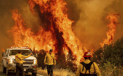 Flames from the LNU Lightning Complex fires leap above Butts Canyon Road on Sunday, Aug. 23, 2020, as firefighters work to contain the blaze in unincorporated Lake County, Calif. (AP Photo/Noah Berger)
