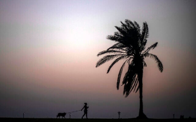 A woman walks a dog in Tel Aviv, , Sept. 4, 2020. (AP Photo/Ariel Schalit) A woman walks a dog in Tel Aviv, , Sept. 4, 2020. (AP Photo/Ariel Schalit)