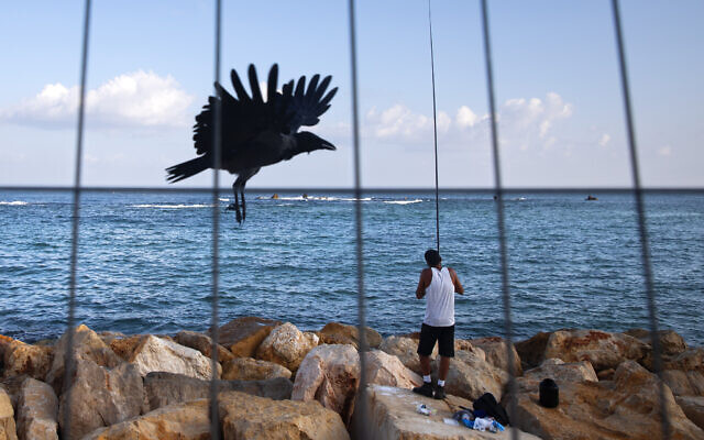 A fisherman casts his rod at the Mediterranean Sea shore during a three-week nationwide lockdown, in Tel Aviv, Sept. 26, 2020. (AP Photo/Oded Balilty)