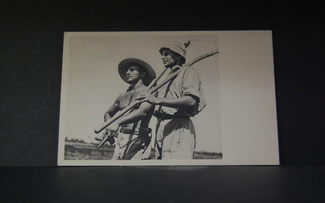 A post card from the collection donated to the Hebrew University of Jerusalem (Courtesy/Hebrew University) A post card from the collection donated to the Hebrew University of Jerusalem (Courtesy/Hebrew University)