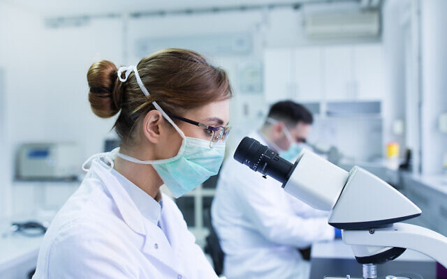 Illustrative: Team of biologists working with microscopes in a laboratory (Jevtic; iStock by Getty Images) Illustrative: Team of biologists working with microscopes in a laboratory (Jevtic; iStock by Getty Images)