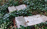 Toppled headstones at the Jewish cemetery of Zabrze, Poland on September 11, 2020. (Dariusz Walerjański via JTA)