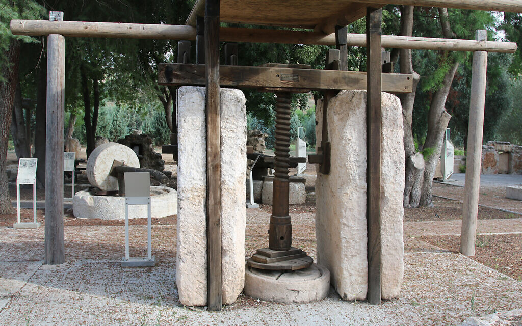 An ancient screw press in Givat Yeshayahu's archaeological garden, which is situated in a forest in central Israel. (Shmuel Bar-Am)