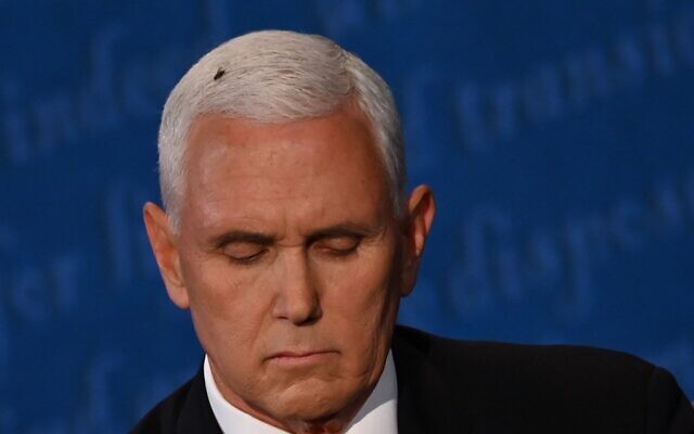 A fly rests on the head of US Vice President Mike Pence as he takes notes during the vice presidential debate against US Democratic vice presidential nominee and Senator from California Kamala Harris in Kingsbury Hall at the University of Utah on October 7, 2020, in Salt Lake City, Utah. (Eric BARADAT / AFP) A fly rests on the head of US Vice President Mike Pence as he takes notes during the vice presidential debate against US Democratic vice presidential nominee and Senator from California Kamala Harris in Kingsbury Hall at the University of Utah on October 7, 2020, in Salt Lake City, Utah. (Eric BARADAT / AFP)